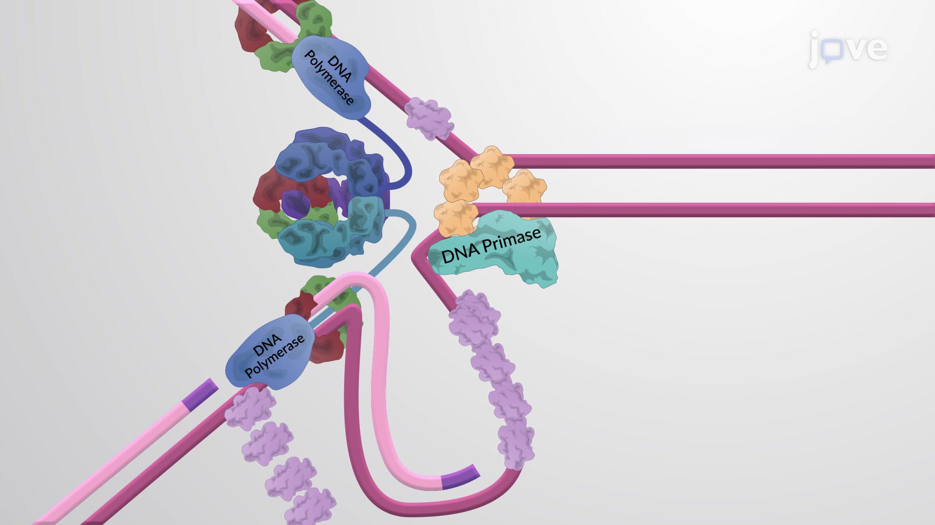 Protein-templated synthesis of dinucleotide repeat DNA by an antiphage ...