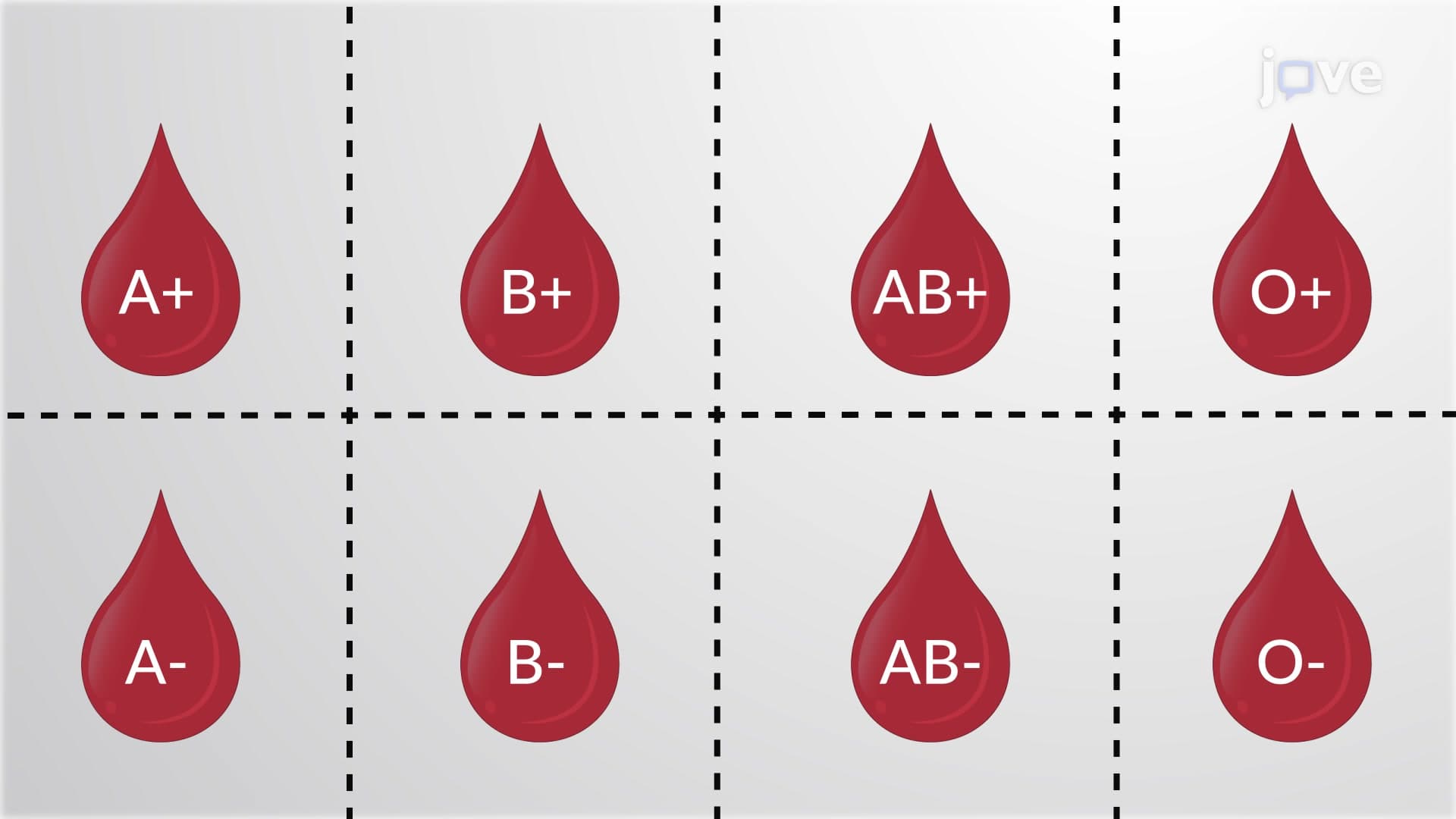 Blood Types