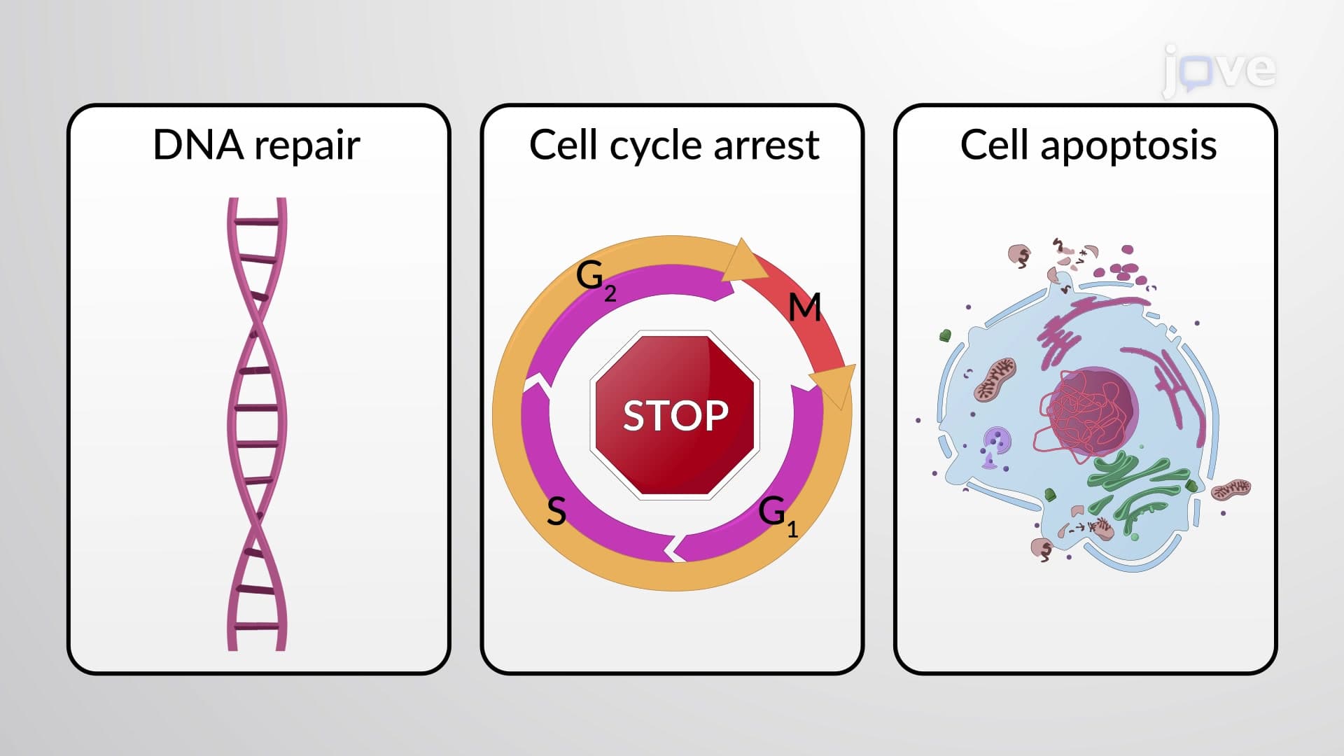 Rewiring Oncogenic Transcriptional Complexes with Domain-ALTeration ...