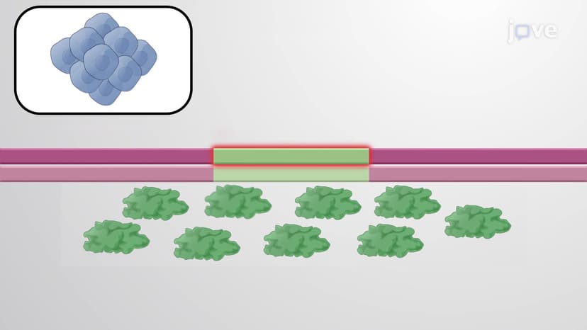 Rewiring Oncogenic Transcriptional Complexes with Domain-ALTeration ...