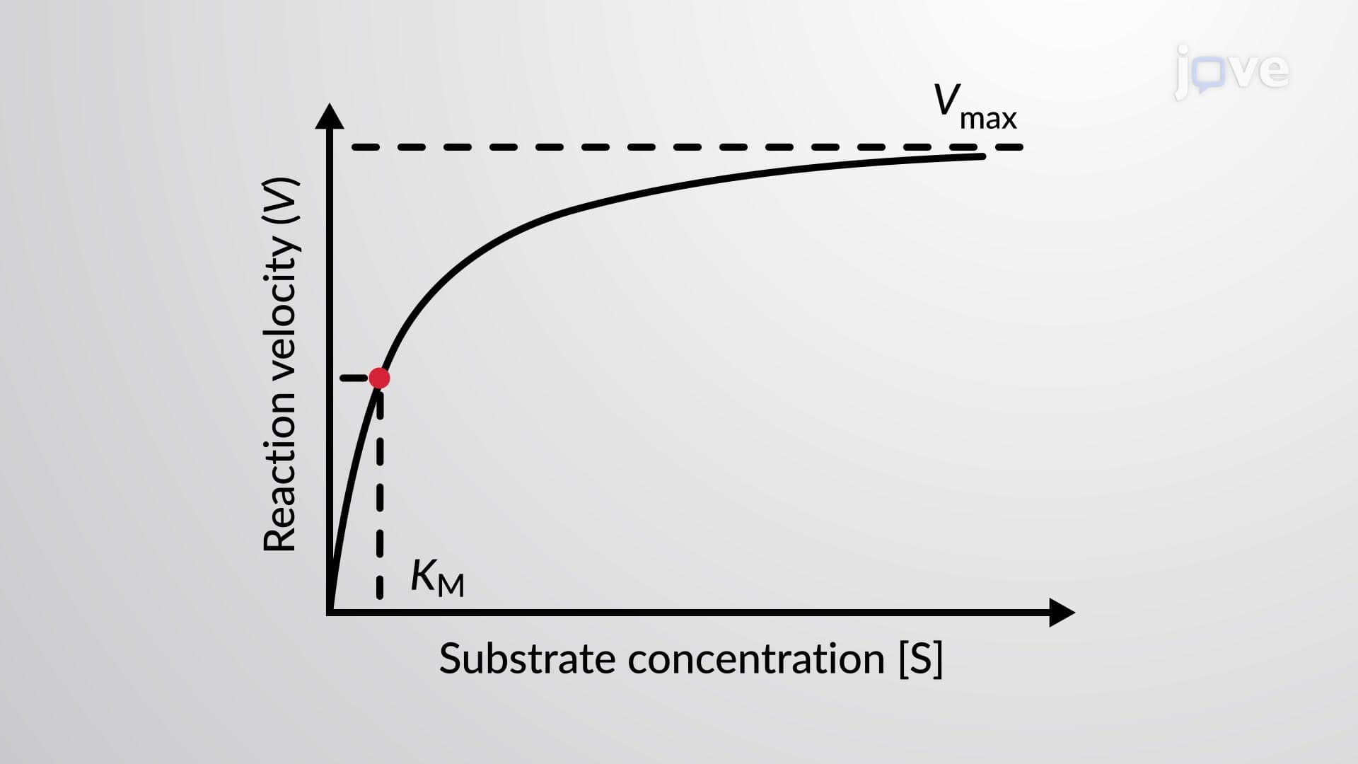 Introduction to Enzyme Kinetics