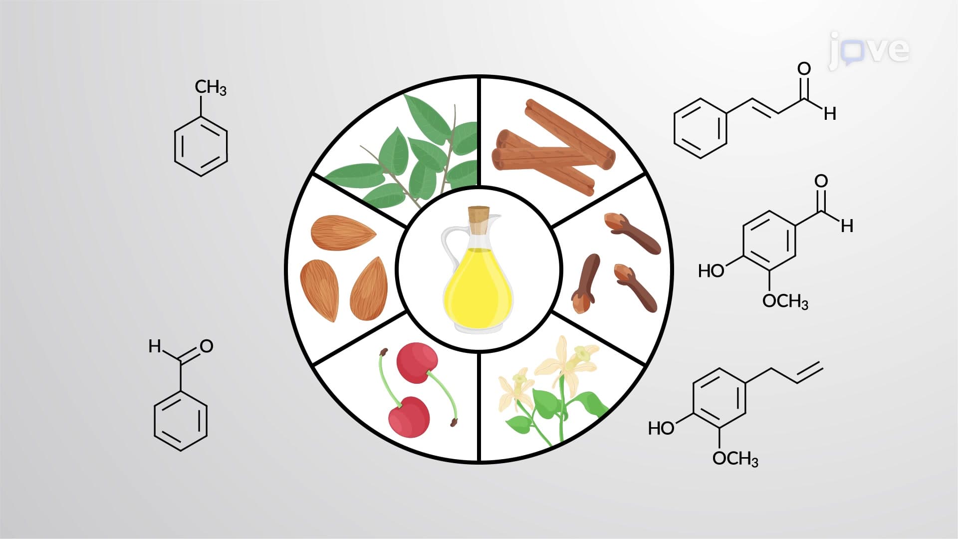 Aromatic Compounds: Overview