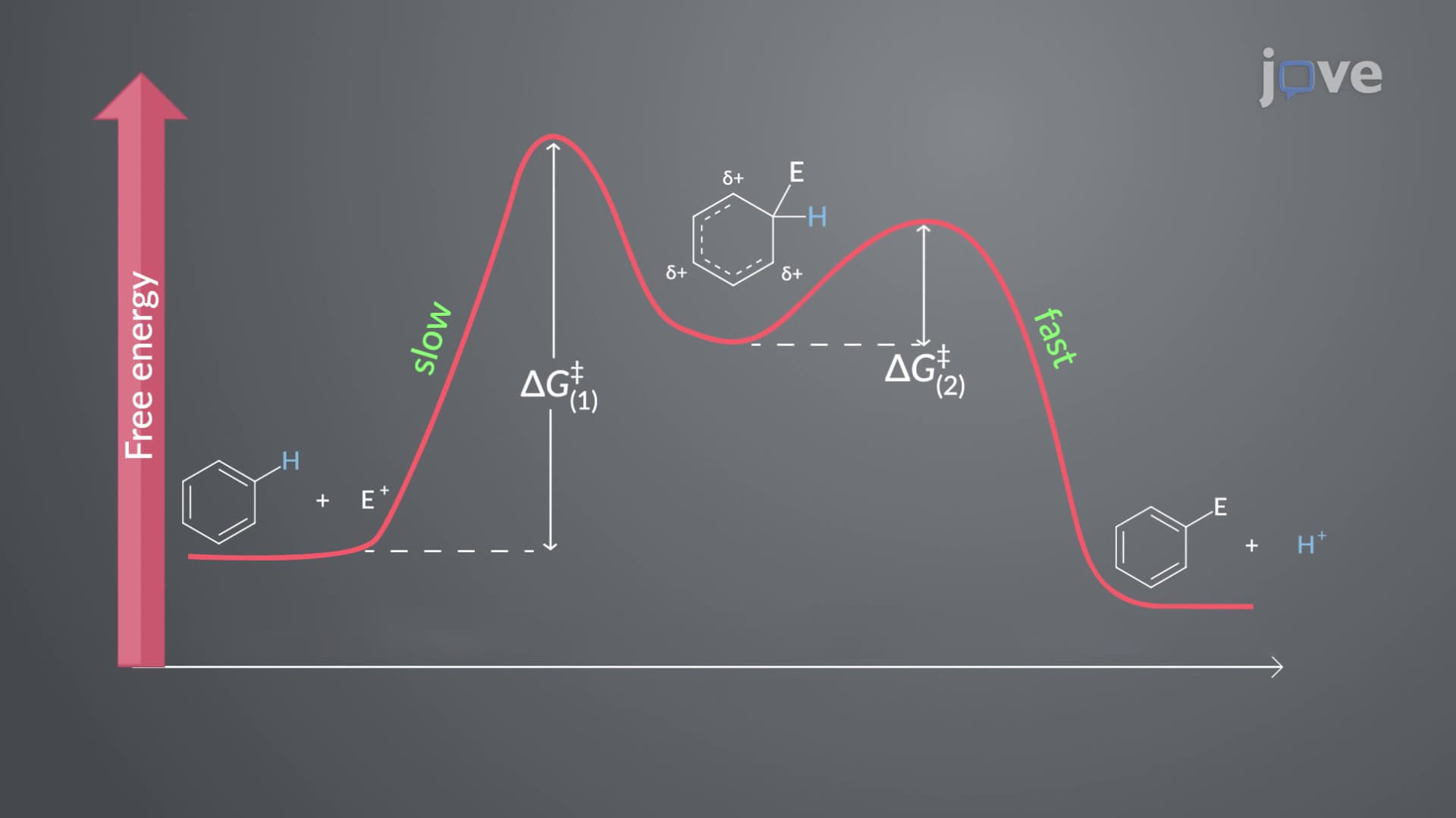 Electrophilic Aromatic Substitution: Overview