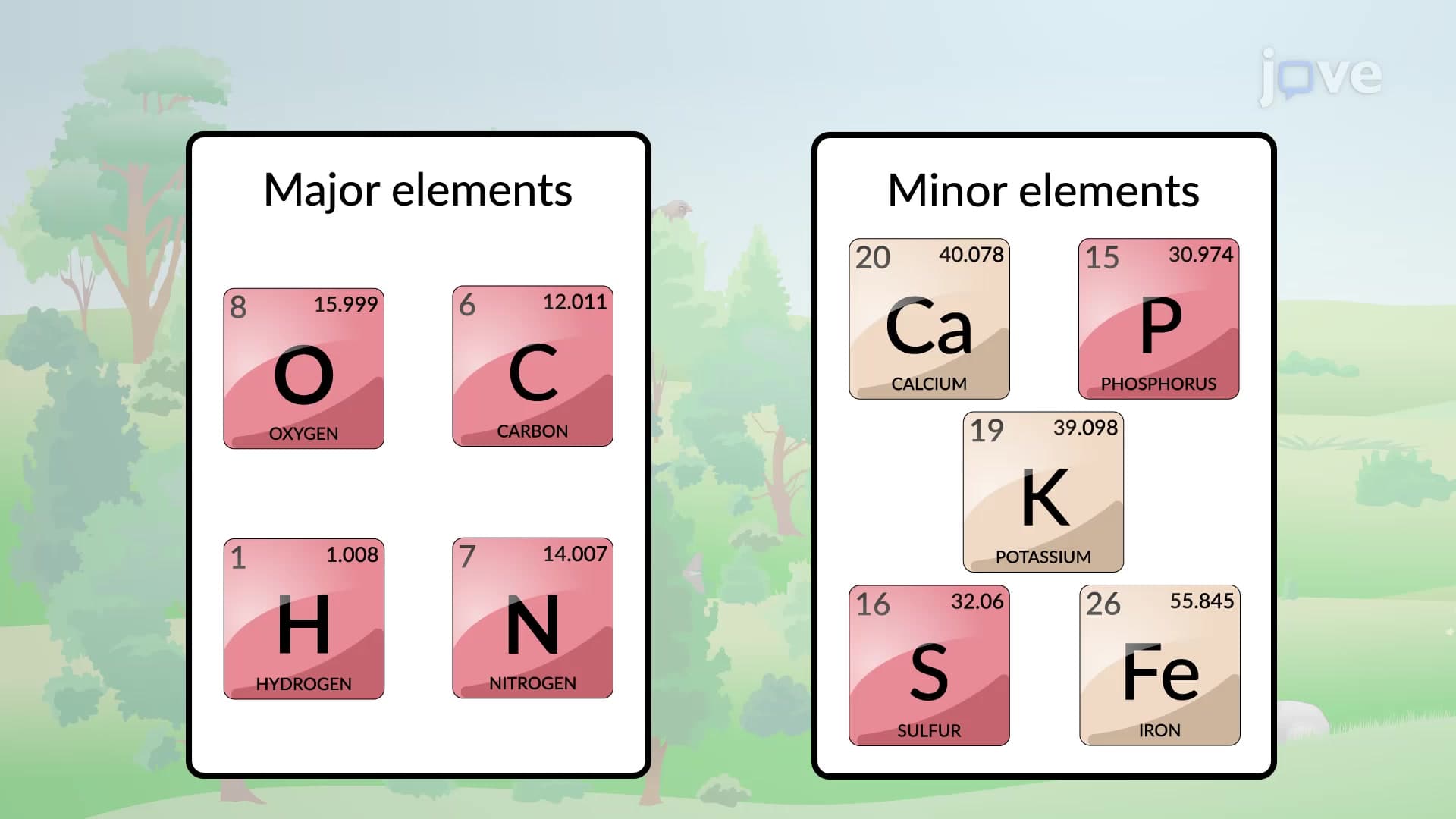 The Periodic Table and Organismal Elements