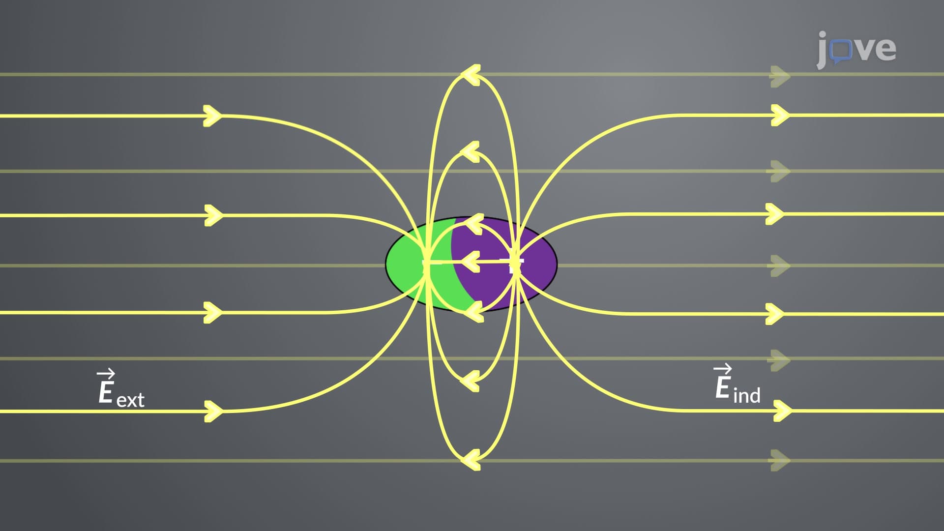 Zwitterionic Polymer Electrolytes With Dipole-Rotation-Assisted Ion ...