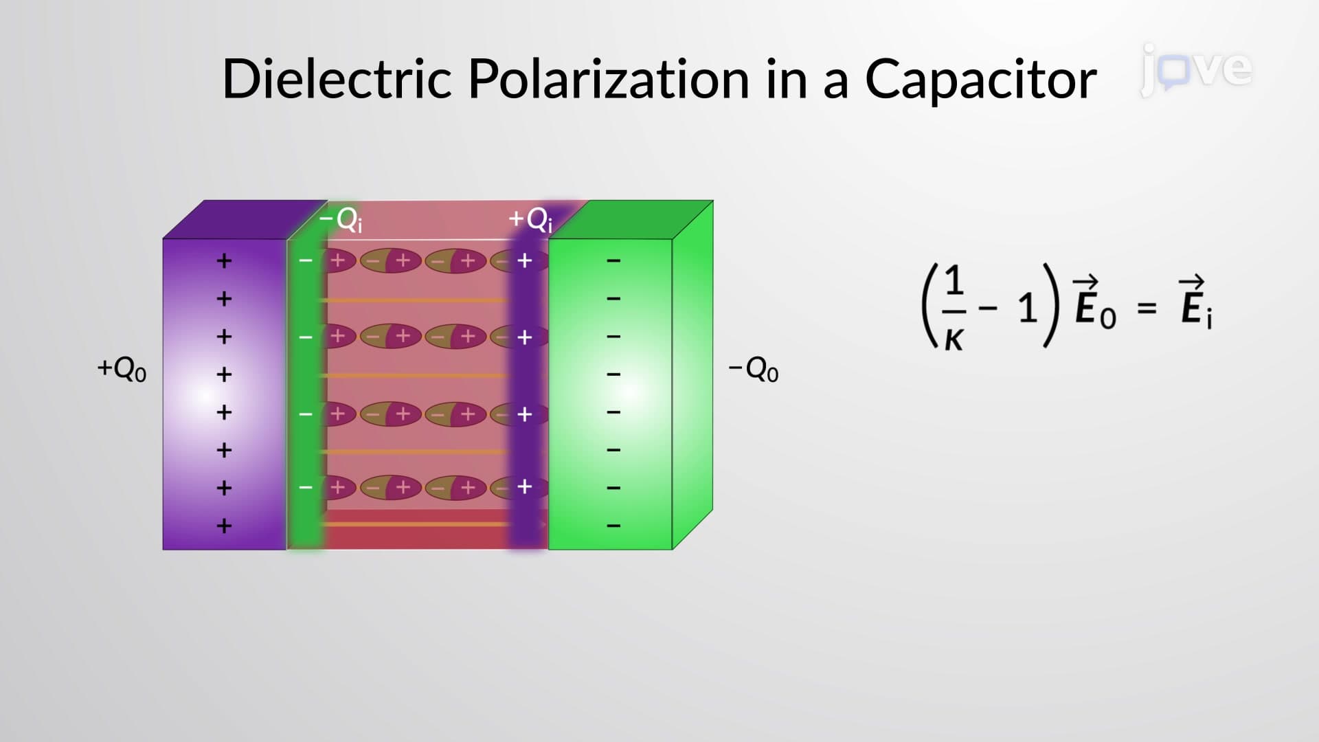 Dielectric Polarization in a Capacitor