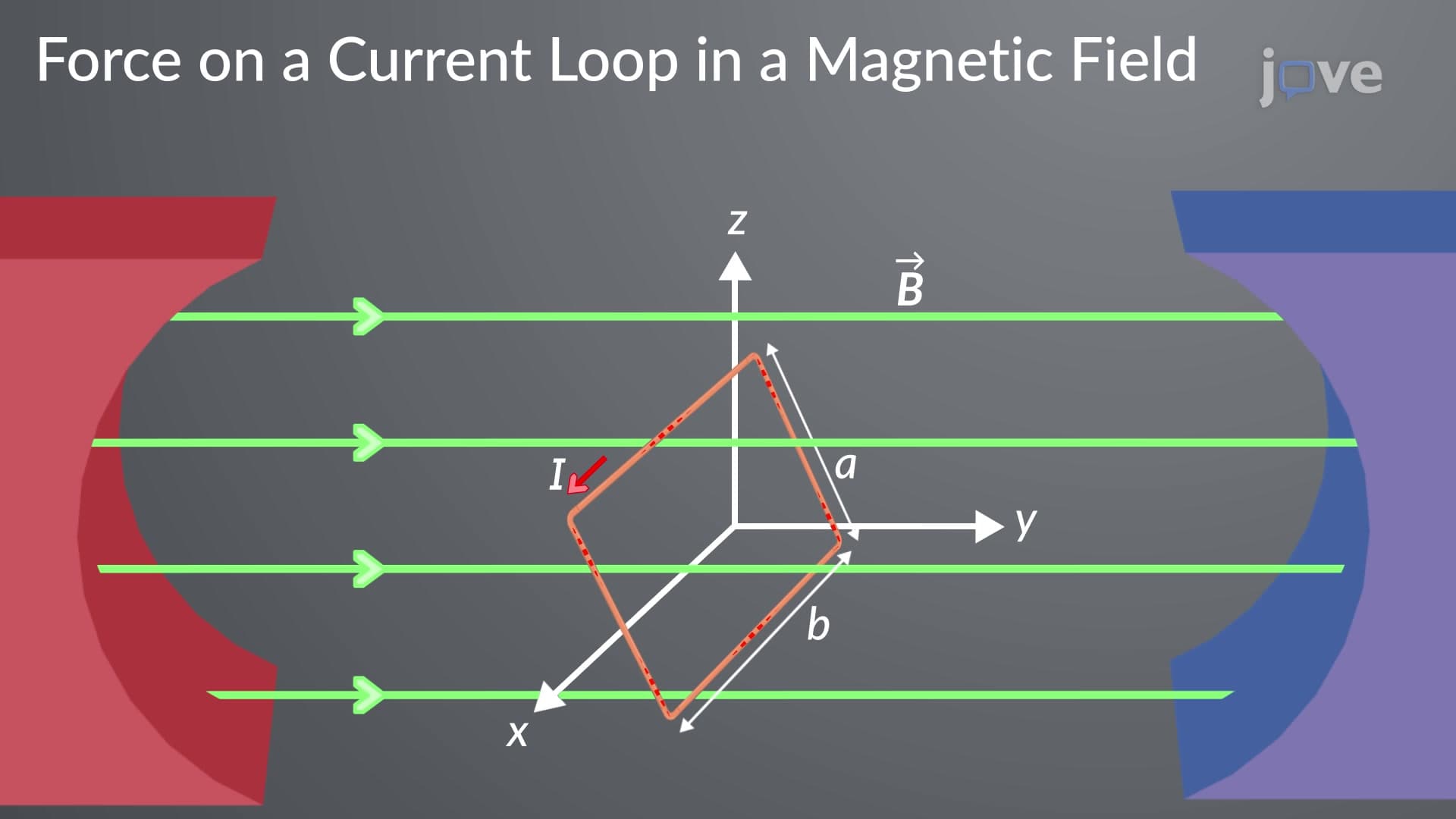 Force On A Current Loop In A Magnetic Field