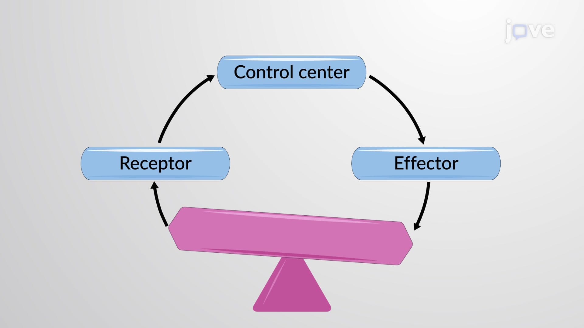 Homeostatic Imbalance