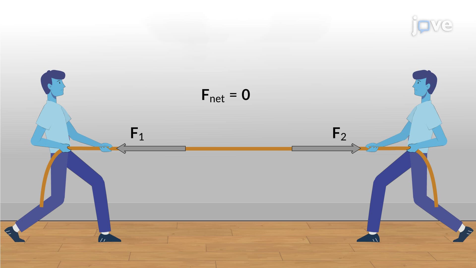 Categories of Equilibrium