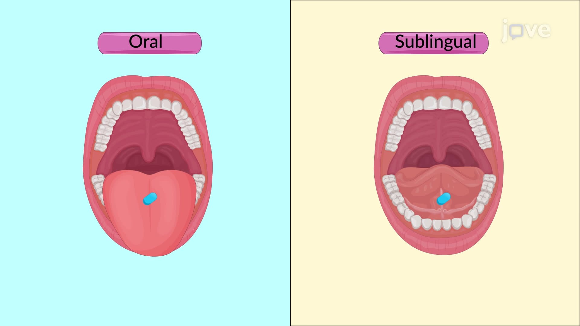 Routes of Drug Administration: Enteral