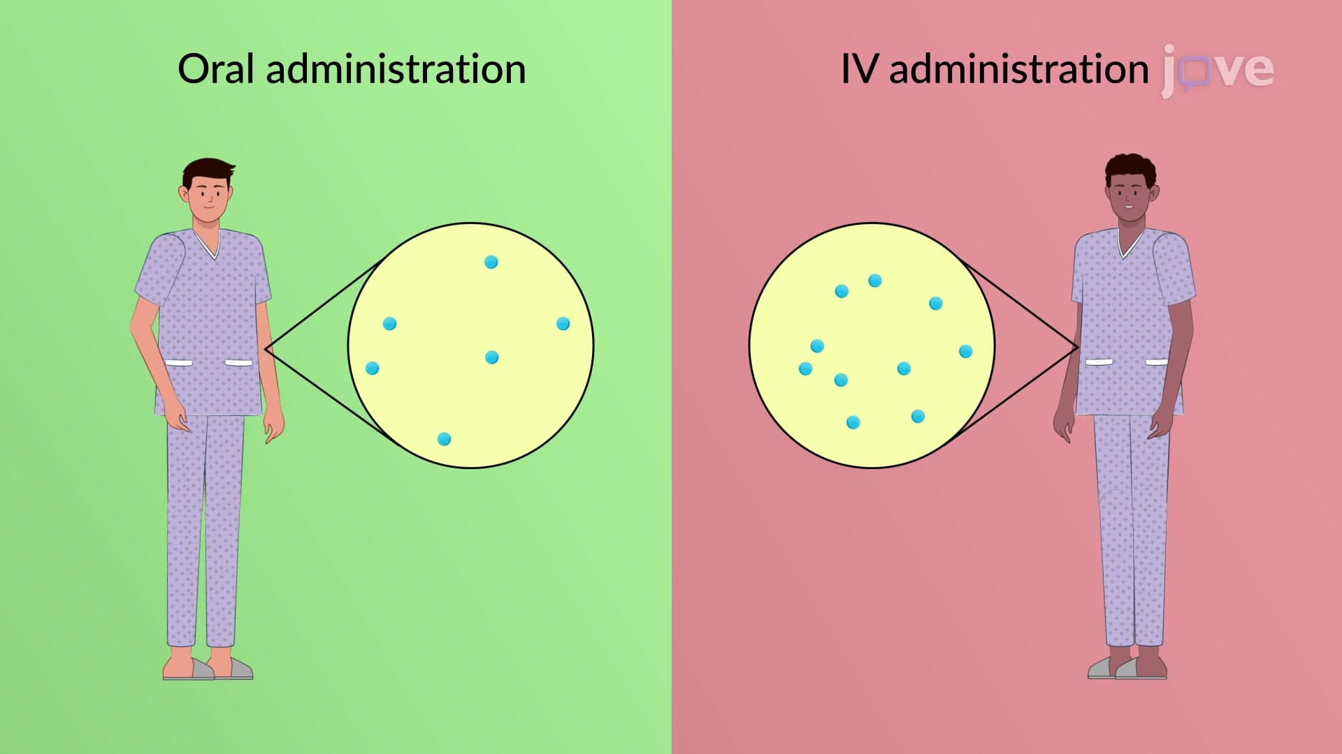 Bioavailability: Overview