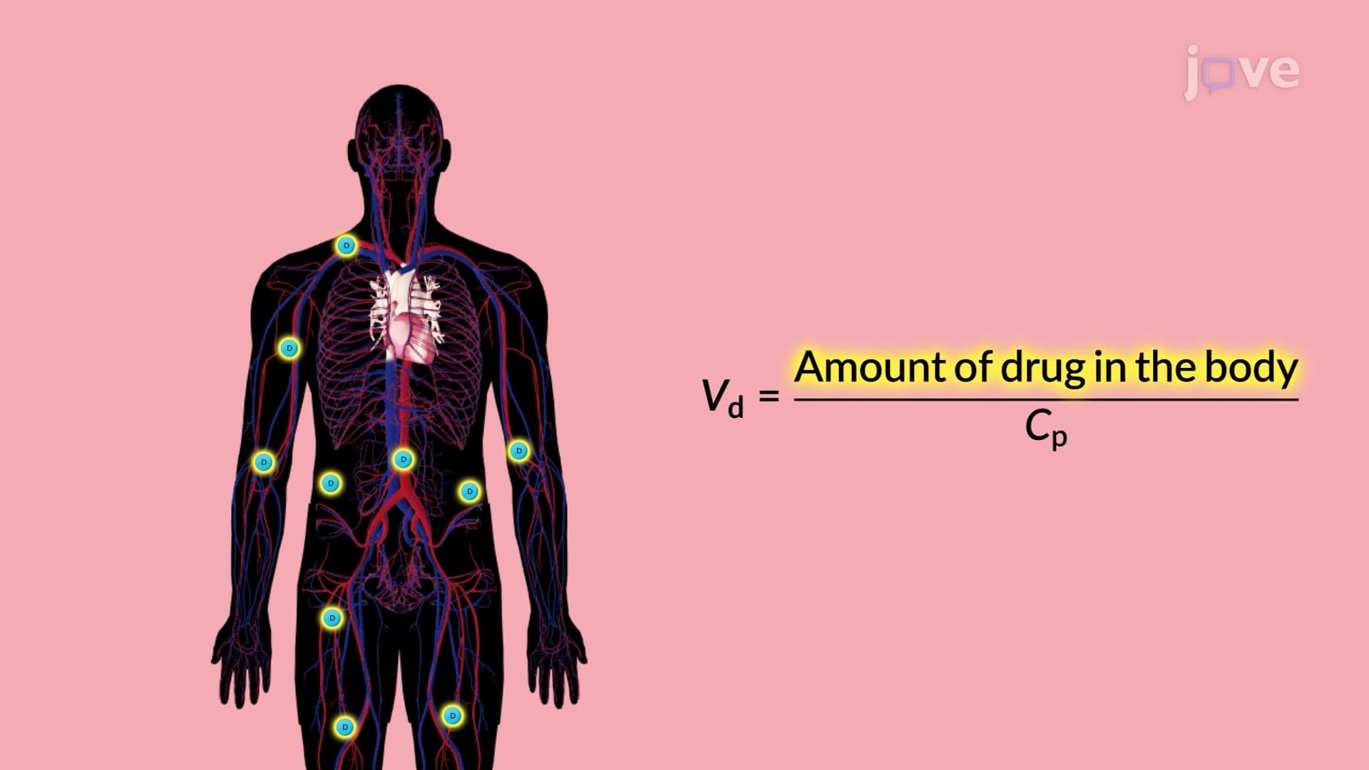 Drug Distribution: Volume of Distribution