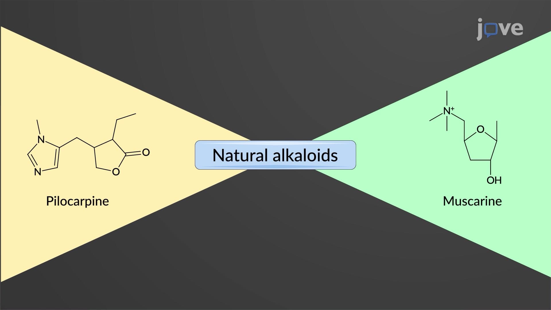 Direct-Acting Cholinergic Agonists: Chemistry and Structure-Activity Relationship