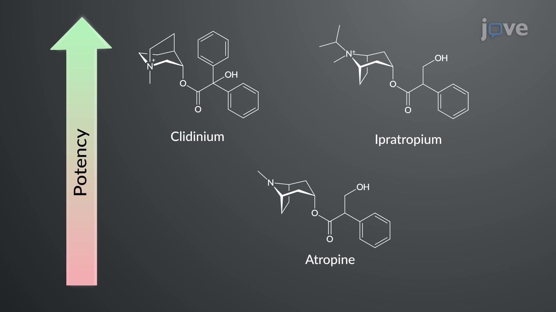 Cholinergic Antagonists: Chemistry and Structure-Activity Relationship