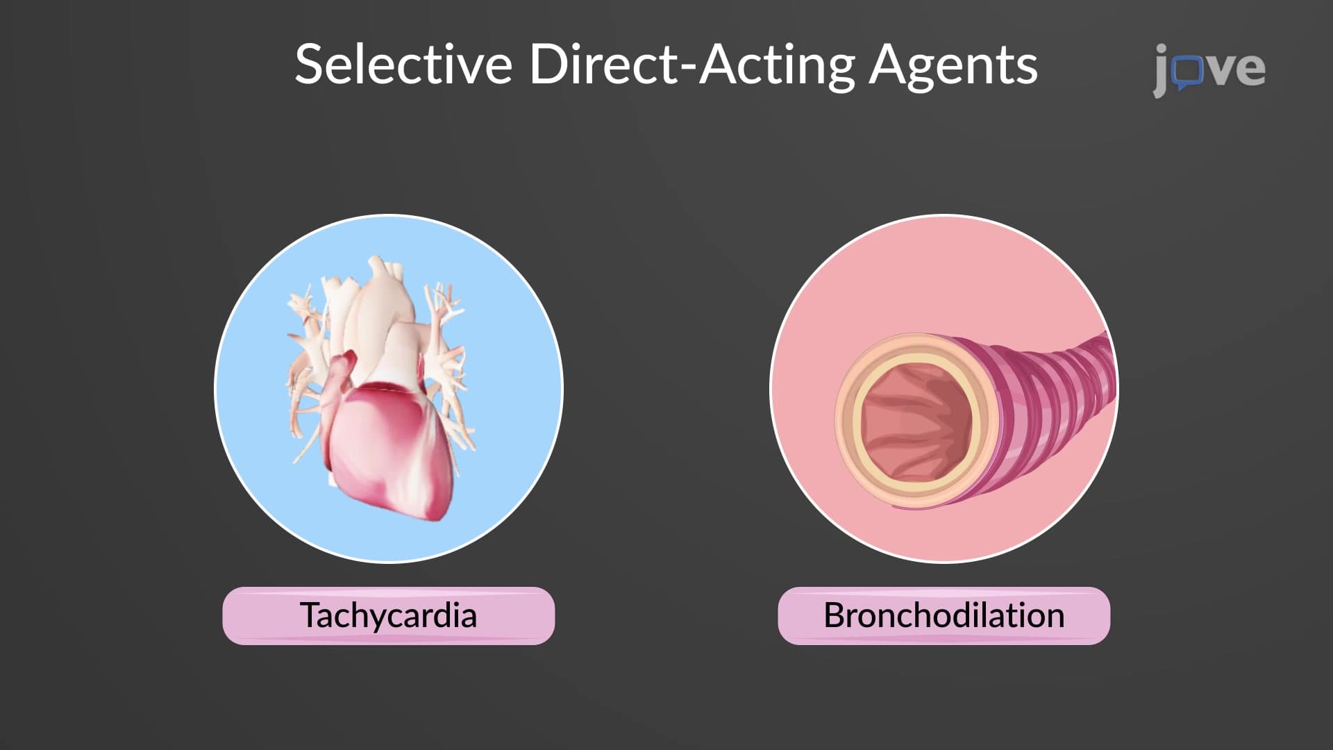 Adrenergic Agonists: Direct-Acting Agents