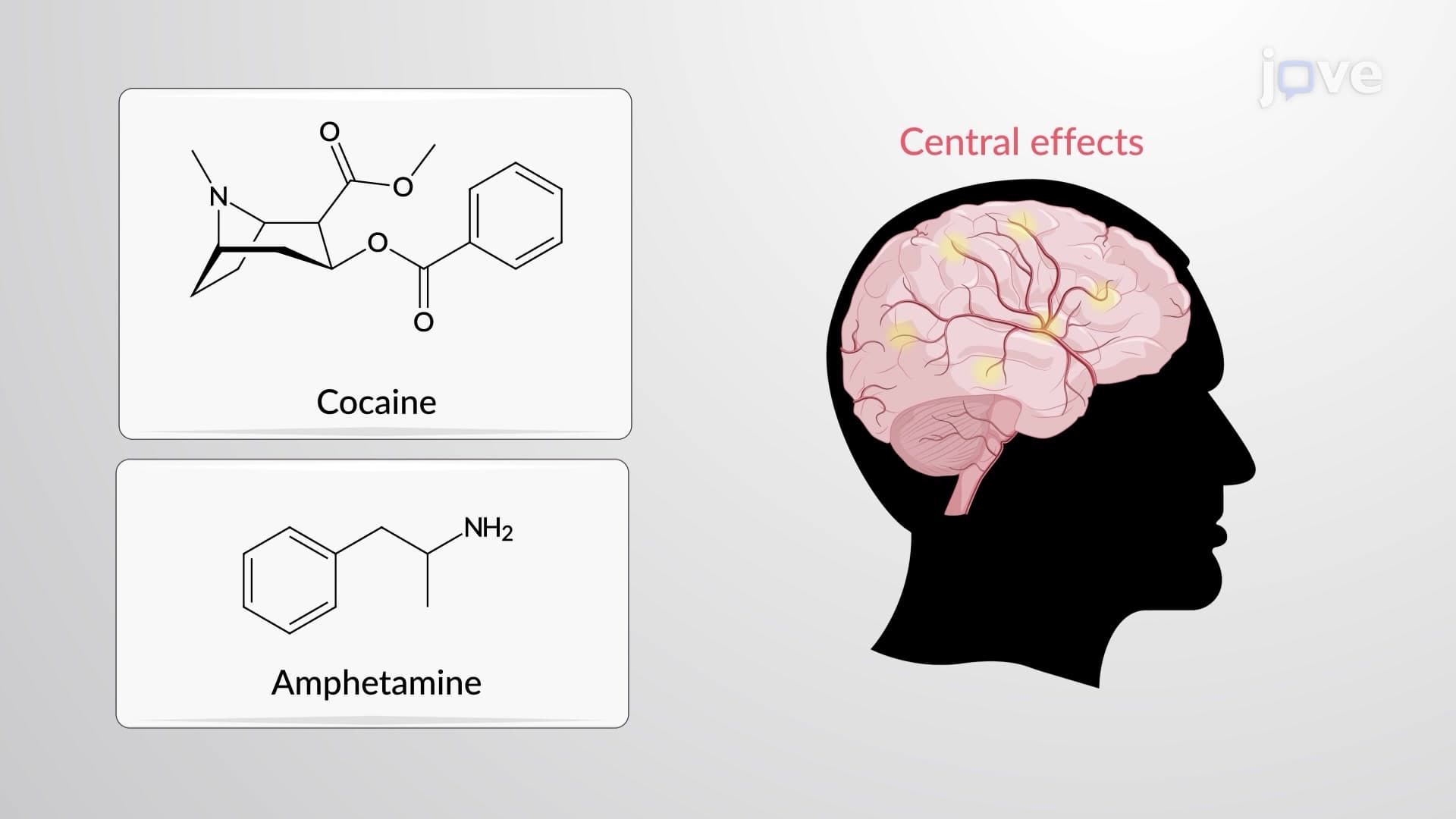 Adrenergic Agonists: Indirect-Acting Agents