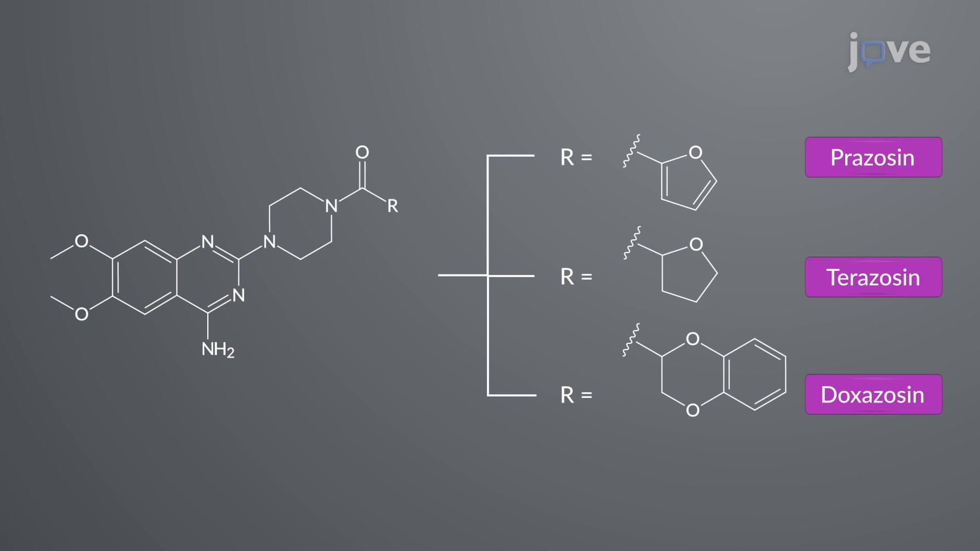 Adrenergic Antagonists: Chemistry and Classification of ɑ-Receptor Blockers