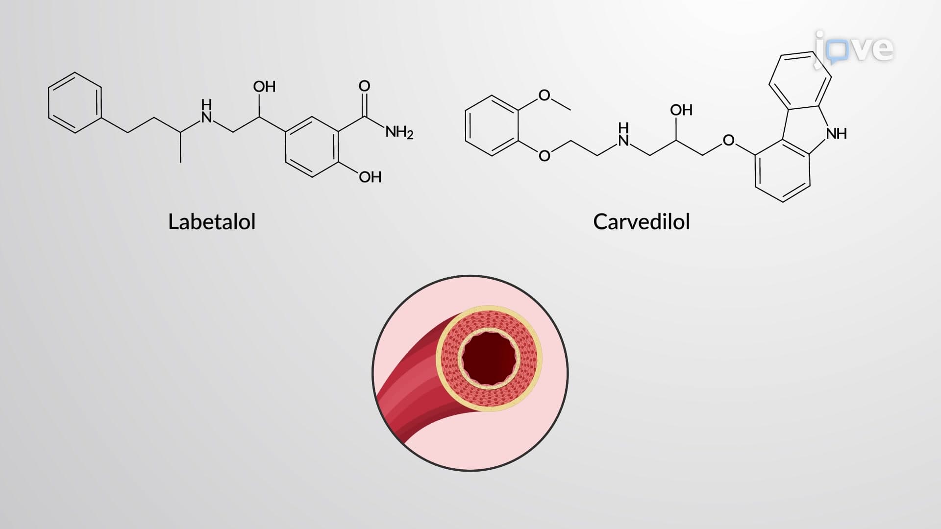 Adrenergic Antagonists: ɑ and β-Receptor Blockers
