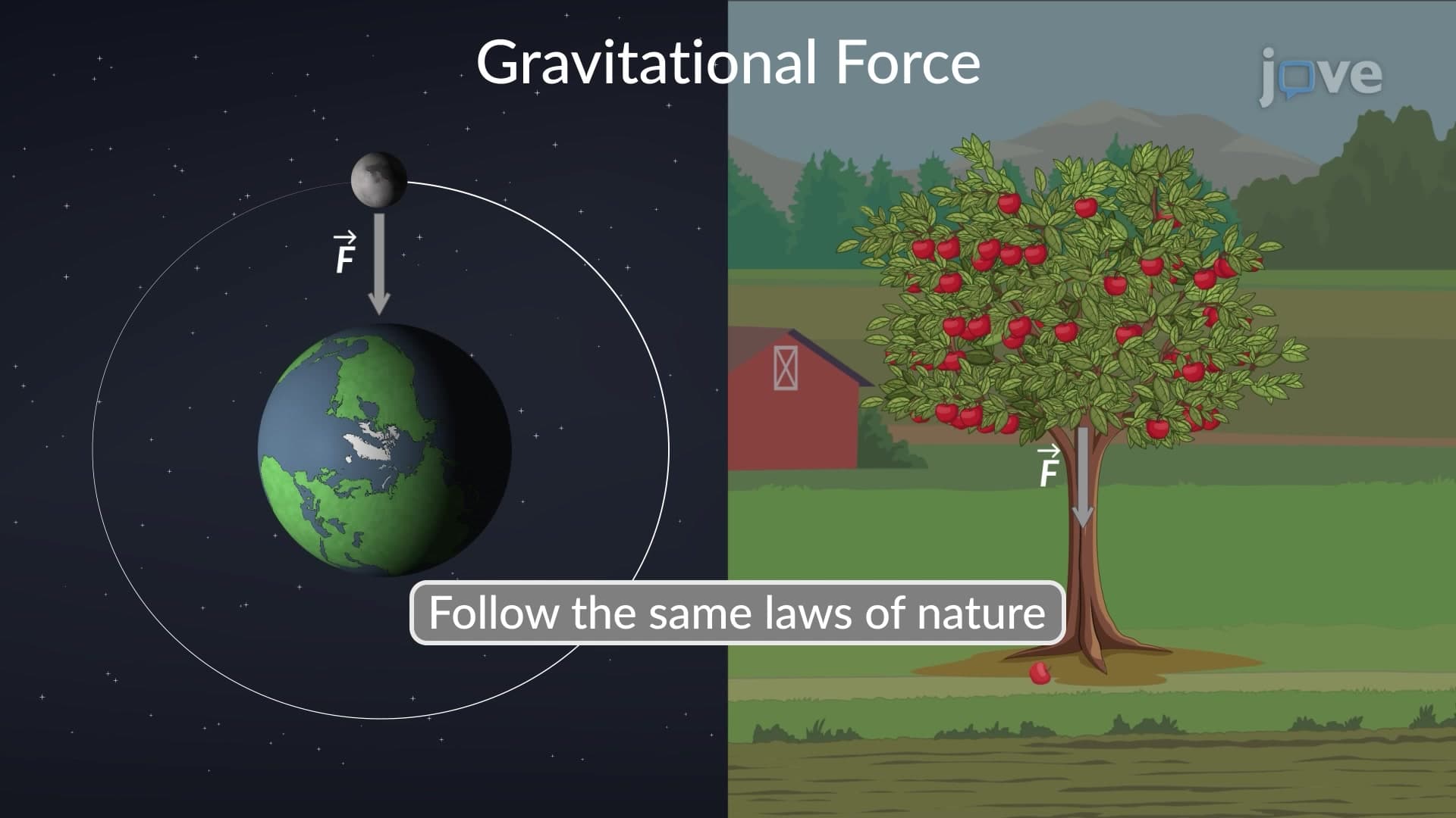 Gravitation