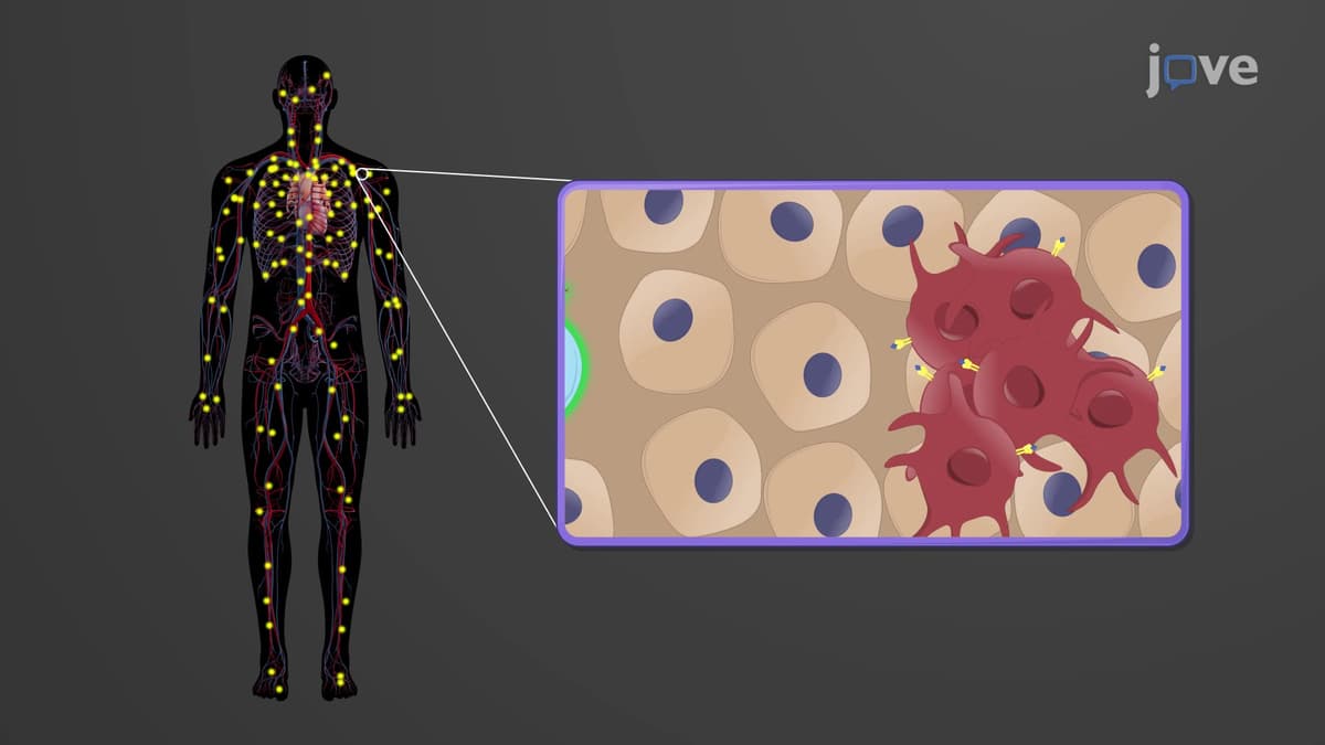 OpenIO: An open framework for AI-native immunotherapy | JoVE Visualize