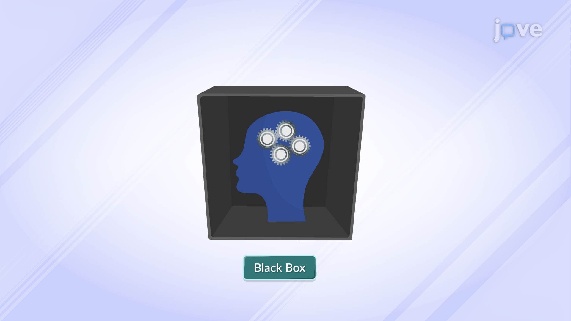 Black Box Model