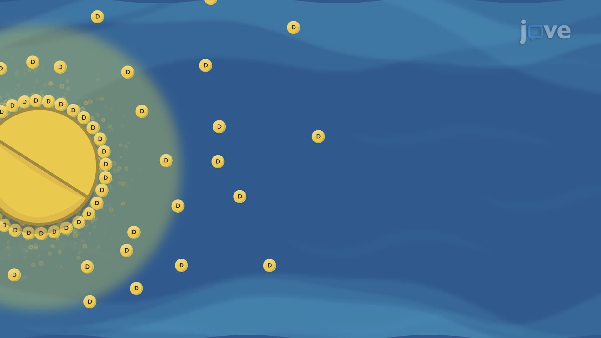 Theories of Dissolution: Diffusion Layer Model