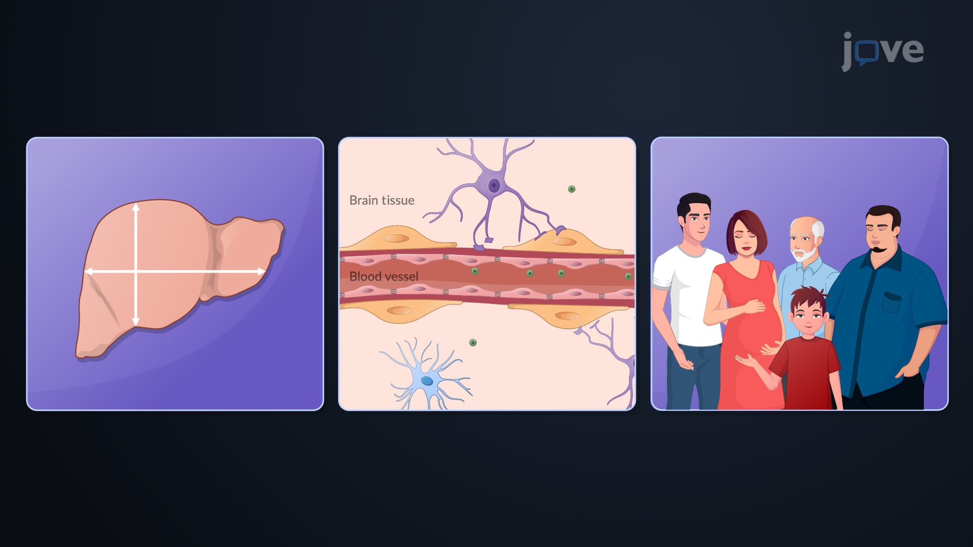 Drug Distribution: Overview