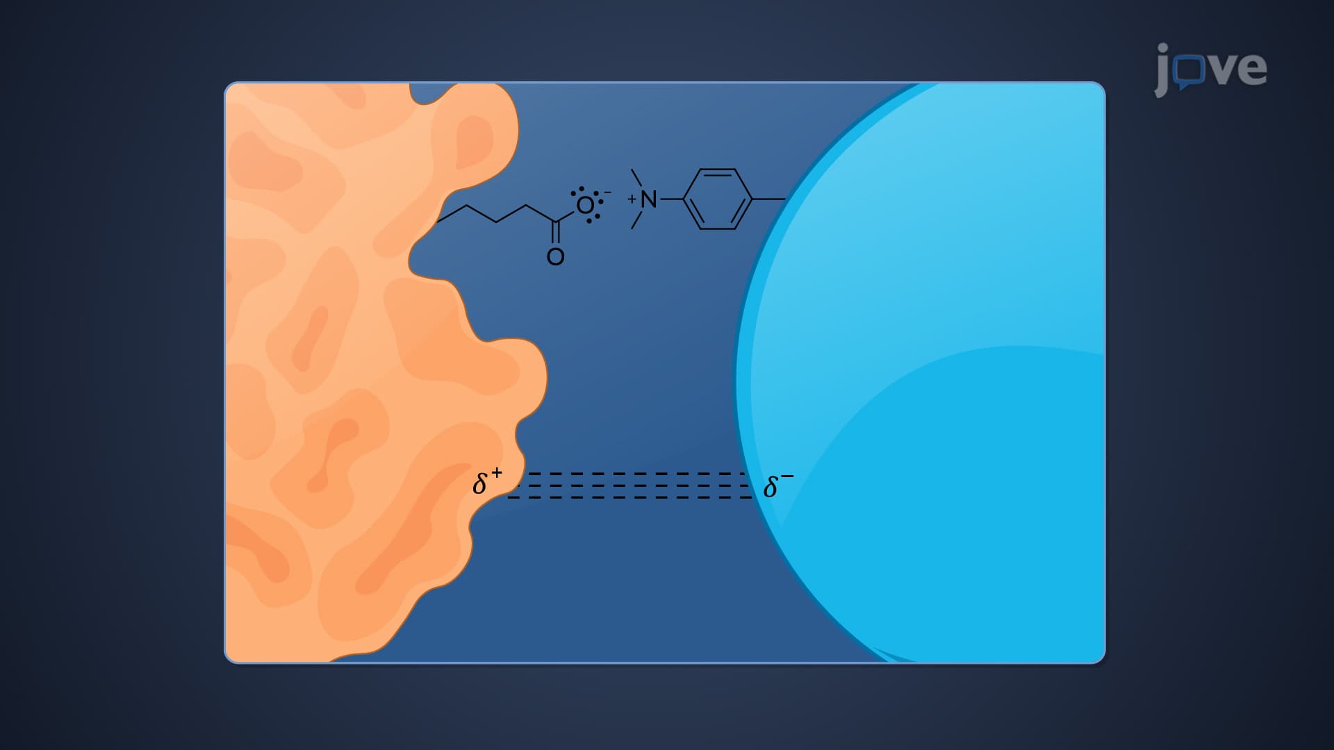 Protein-Drug Binding: Mechanism and Kinetics