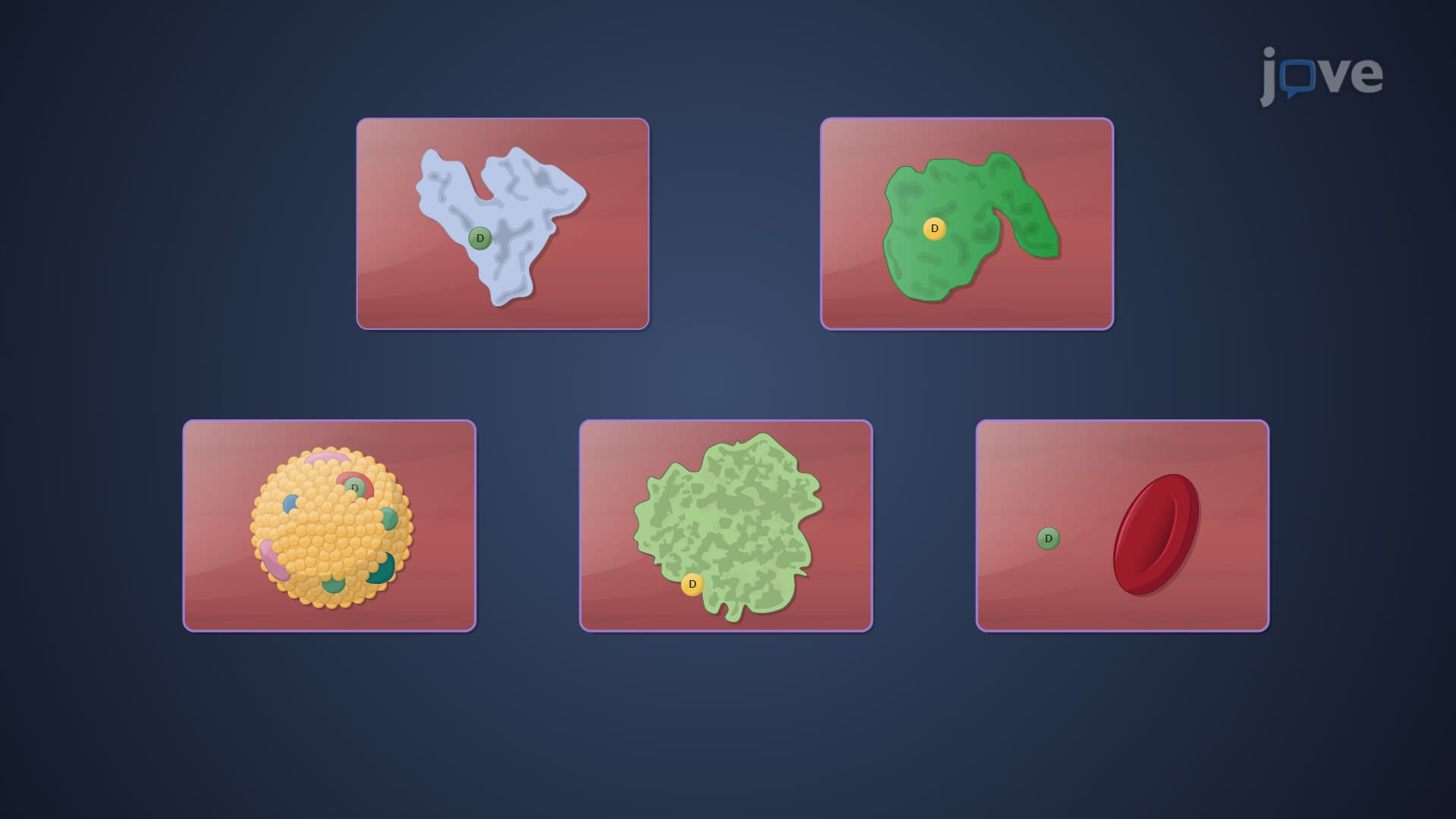 Drug Binding to Blood Components