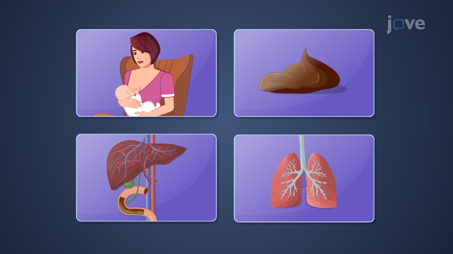 Drug Elimination: Overview