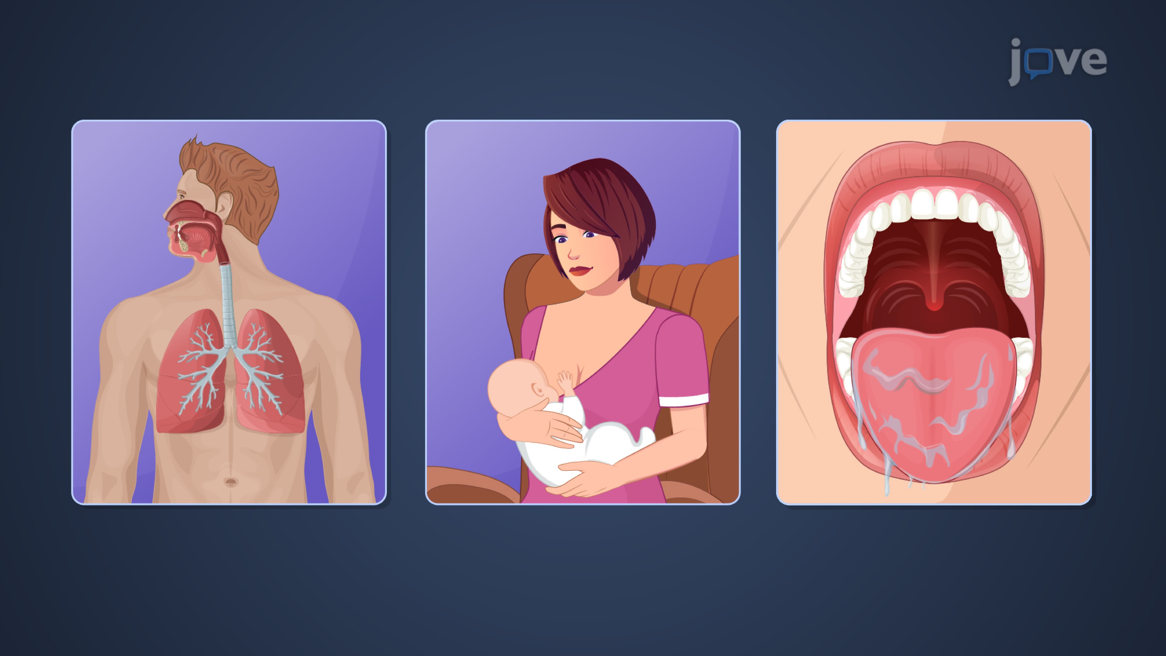Drug Excretion: Pulmonary and Glandular Routes