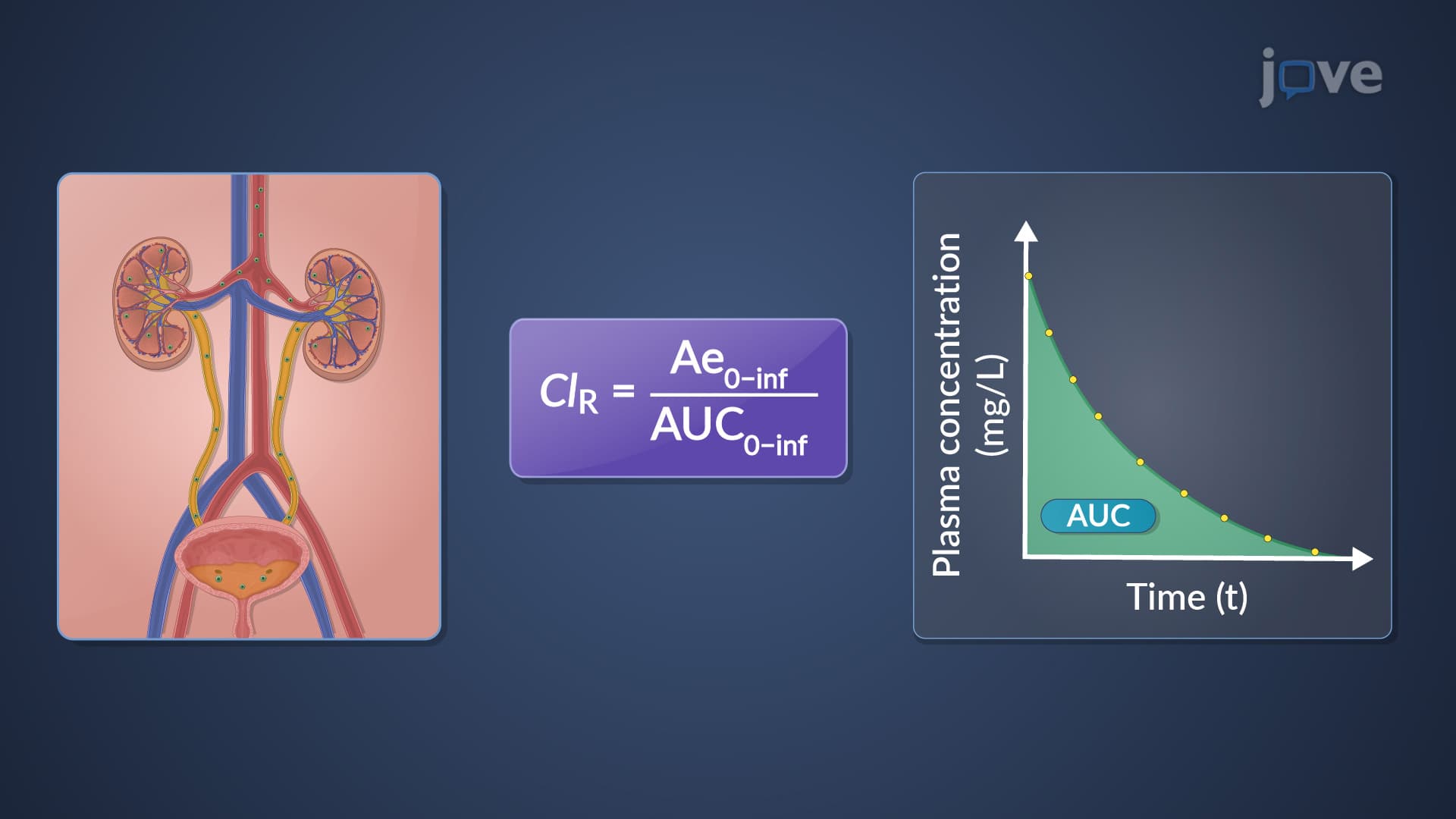 Renal Drug Clearance: Overview