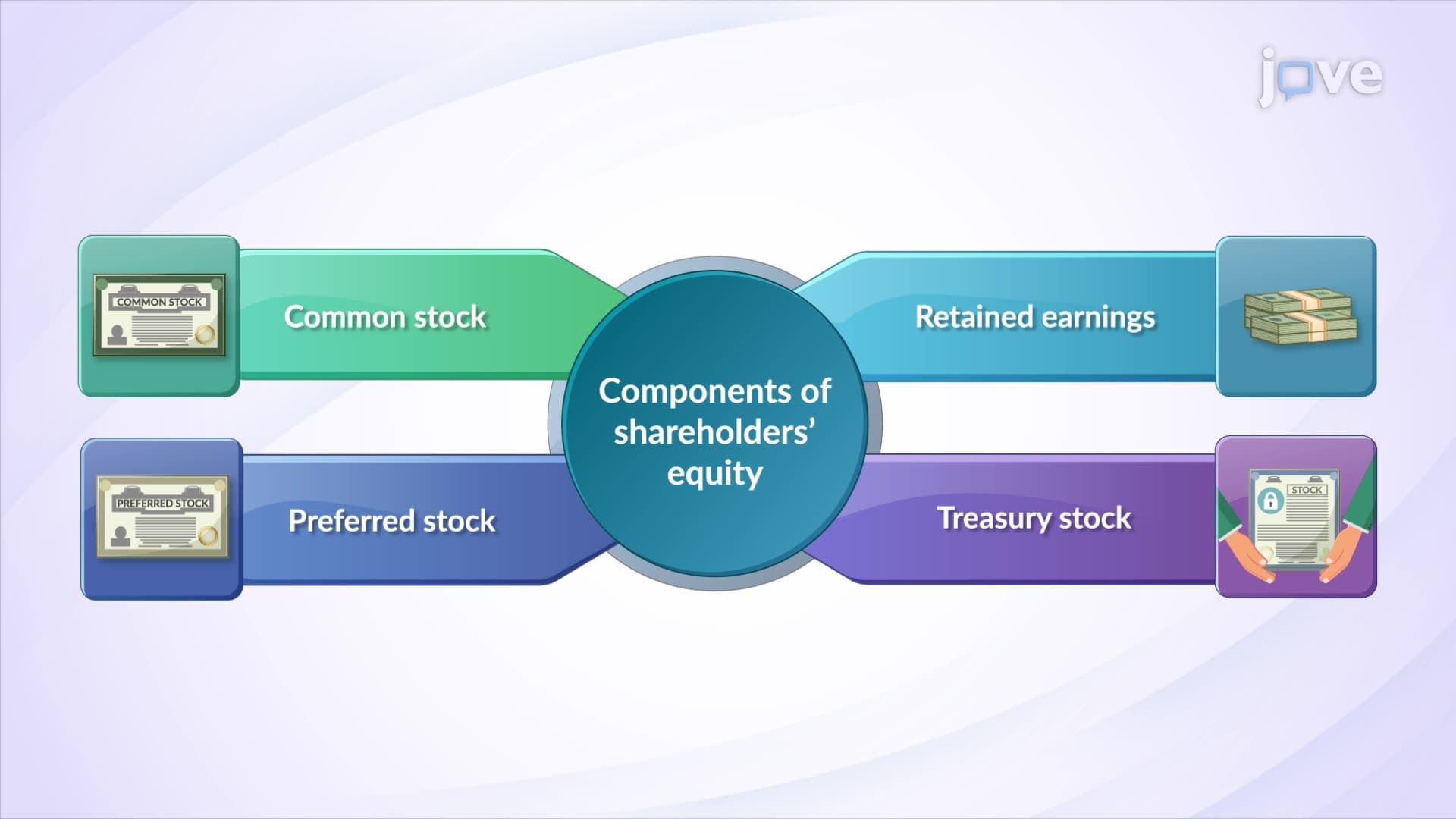 Shareholder's Equity