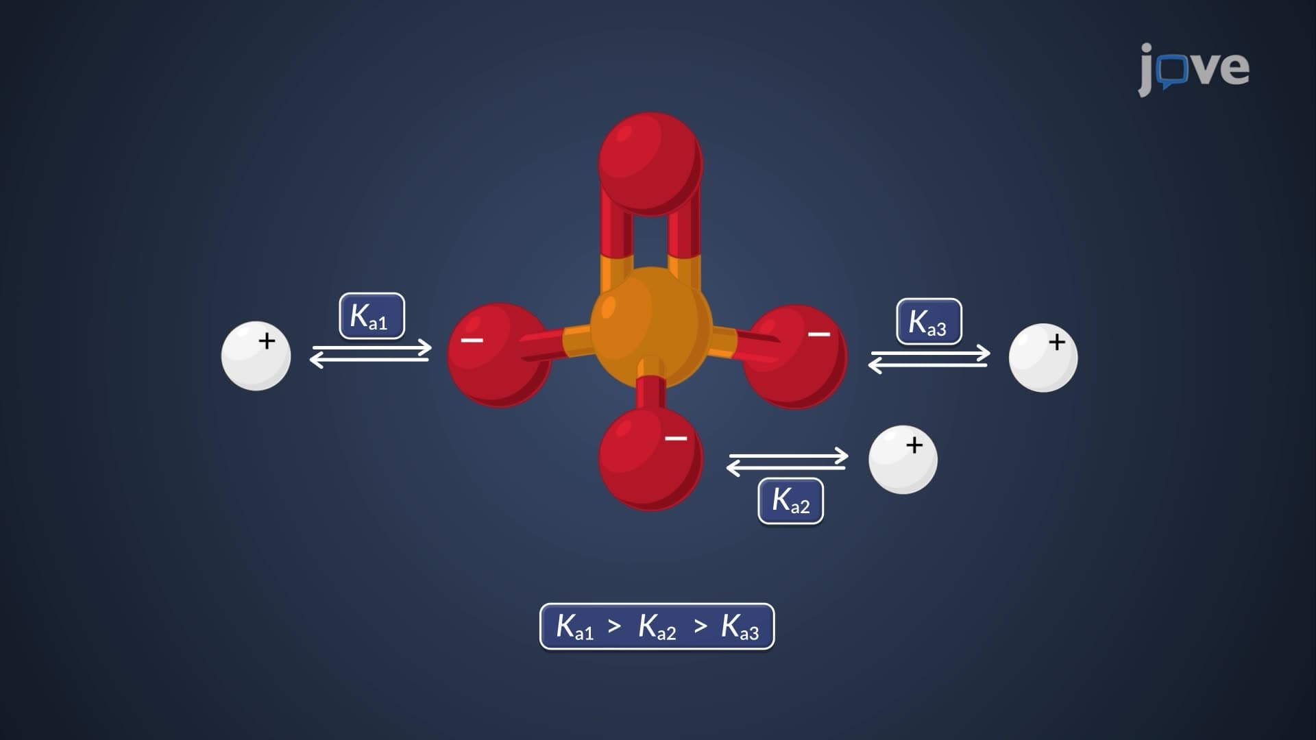 Titration of Polyprotic Acids with a Strong Base