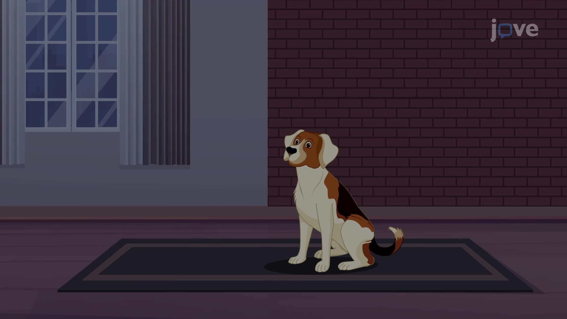 Principles of Classical Conditioning