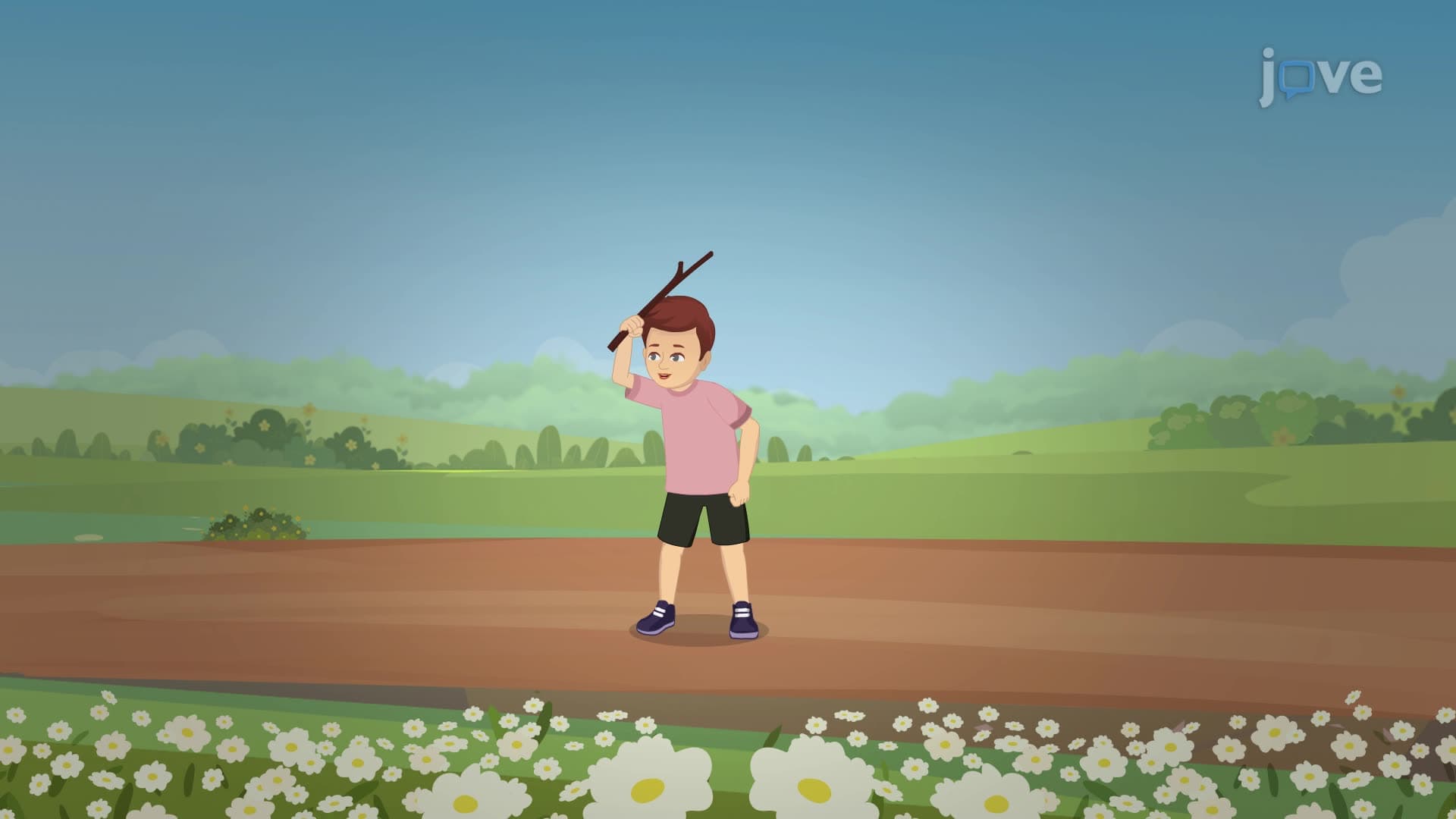 Piaget's Stage 2 of Cognitive Development