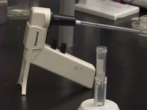 Introduction to Serological Pipettes and Pipettors