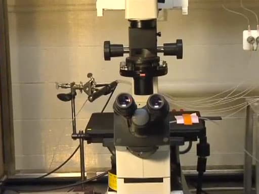 Introduction to Fluorescence Microscopy