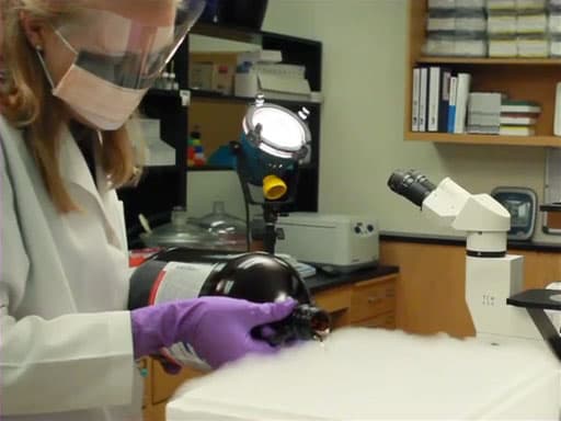 Regulating Temperature in the Lab: Preserving Samples Using Cold