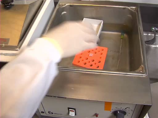 Regulating Temperature in the Lab: Applying Heat