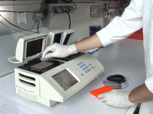 PCR: The Polymerase Chain Reaction