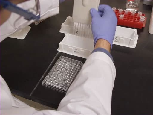 The ELISA Method