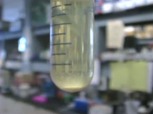 Plasmid Purification