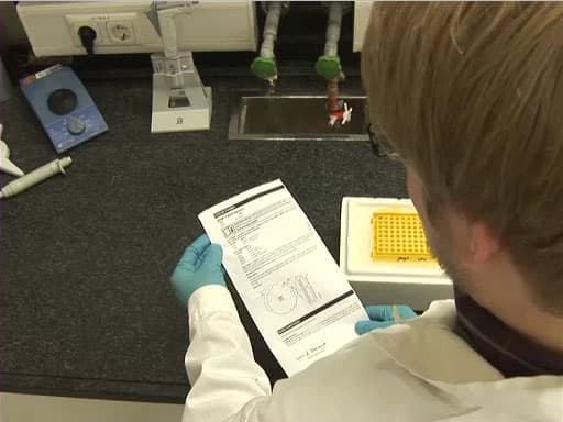 Molecular Cloning