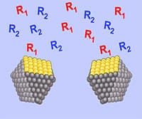 Introduction to Catalysis