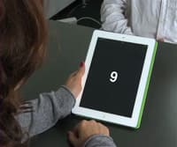 An Introduction to Cognition