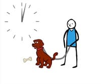 Positive Reinforcement Studies
