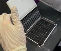Genetic Screens