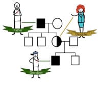 An Overview of Genetics and Disease