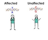 SNP Genotyping
